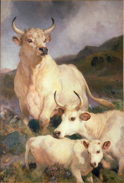 Ganado salvaje de Chillingham, Northumberland, c.1867 de Edwin Landseer